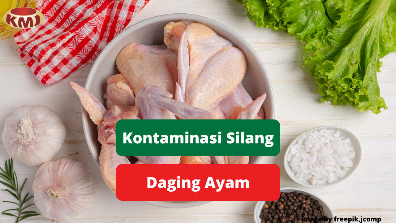 Dampak Kontaminasi Silang Daging Ayam